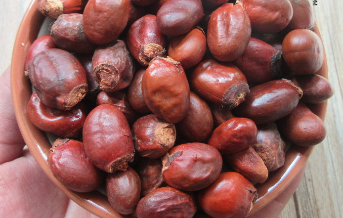 展示与对比:中药材 新货 荔枝核 荔仁大荔核 荔枝骨 荔枝子 籽 50克