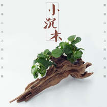Fish tank sunken wood landscaping Small dead wood head Natural lazy small perching root Brazilian tree Water and land tank micro landscape decoration