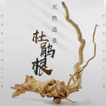 Fish tank landscaping Rhododendron root heavy wood twigs Grass cylinder dead wood skull frame has been boiled small large tree Forest shape