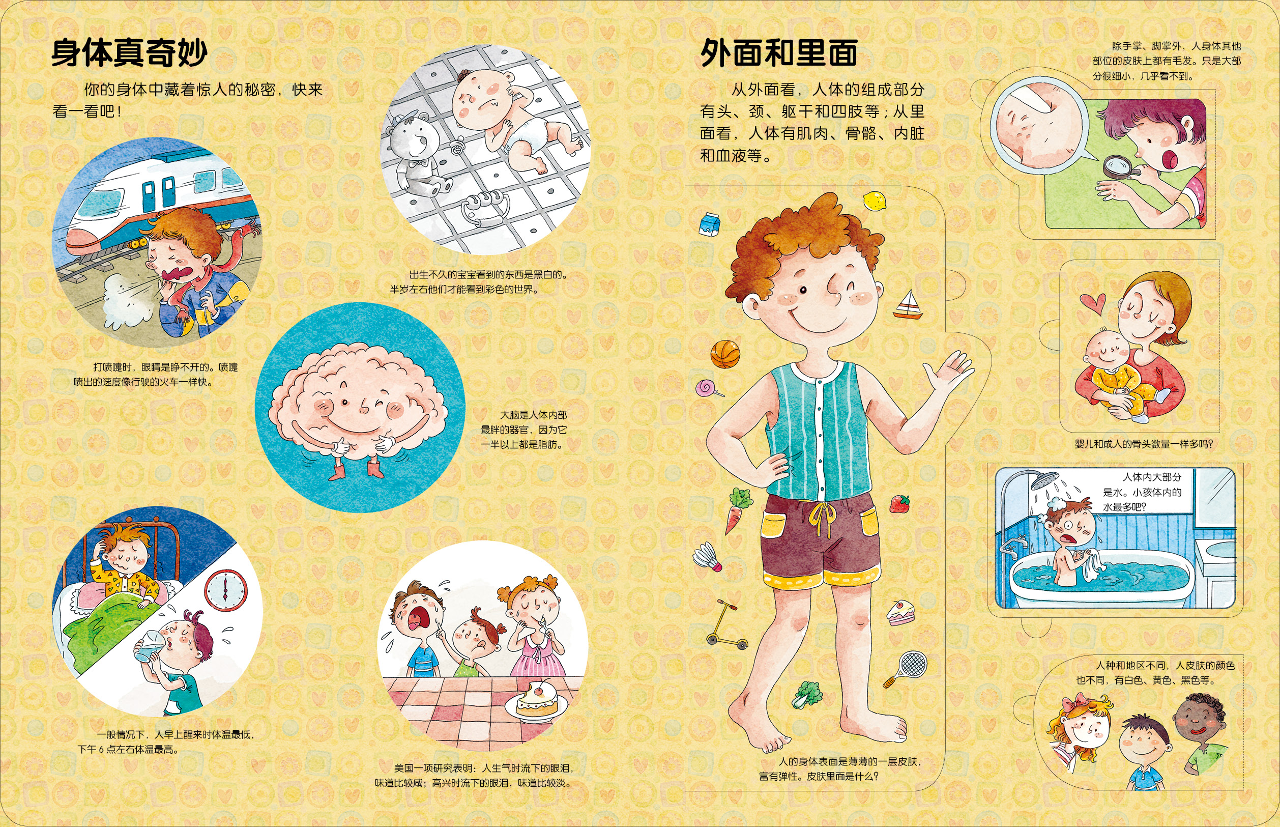 邦臣小红花科普翻翻书 揭秘身体 幼儿科普读物科学绘本故事少儿百科