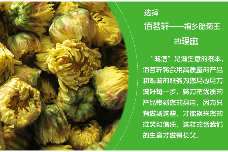 头采桐乡胎菊王菊花茶250g