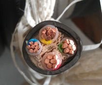 Hangzhou Zhongtze Wire & Cable ZRYJV VV3 * 25 1*16 squared national standard copper core four-core power hard cable