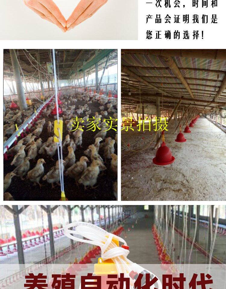 普拉松鸡饮水器自动喂水器批发养殖场养鸭鹅用自动饮水器养殖设备