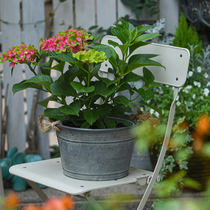 Pastoral Vintage made old iron pot flower bucket flower plug green plant flowers garden decoration groceries