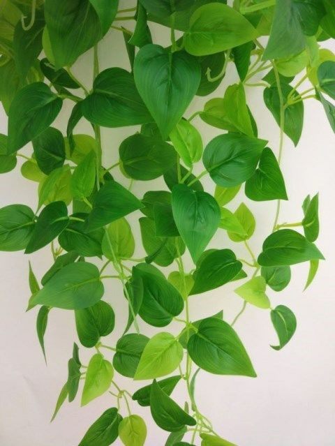 餐厅墙面绿萝藤装饰品壁挂仿真绿植物花盆奶茶铺墙壁墙上遮挡挂件