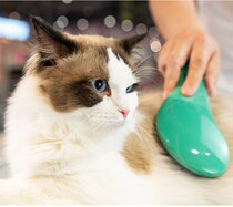 Ling cat artifact puppet cat small dog massage comb pet round handle comb air cushion needle comb anti-static comb cat comb