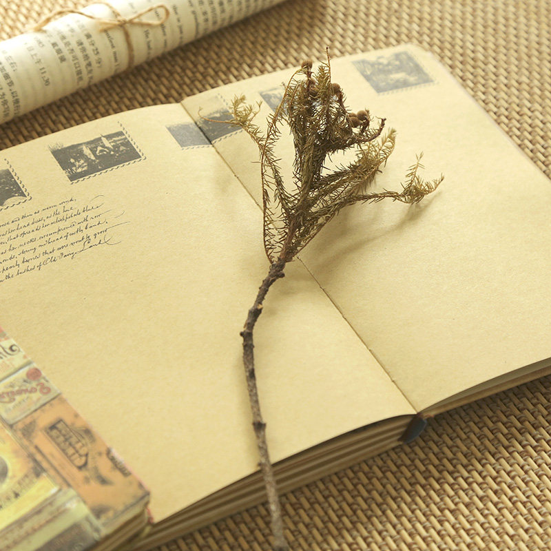 淘宝复古笔记本子日记本彩页插画记事本手账本