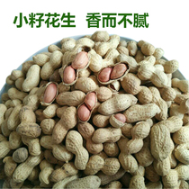 Yiyang fried small seeds fried peanuts with shell cooked small seeds peanuts Bulk boy raw peanuts 500 grams of new original flavor