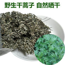 Hunan specialty wild dried artemisia seed farmer homemade natural sun-dried artemisia seed baba Aiye Baba raw material 100 grams