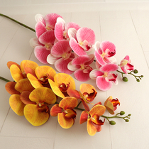 Phalaenopsis simulation flower meat feel simulation 3D Phalaenopsis glue can be washed 9 butterflies orchids home fake flowers