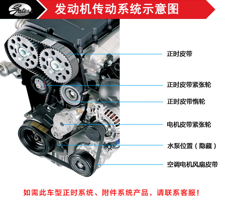 美国盖茨汽车带2av15x105011351180141014701570