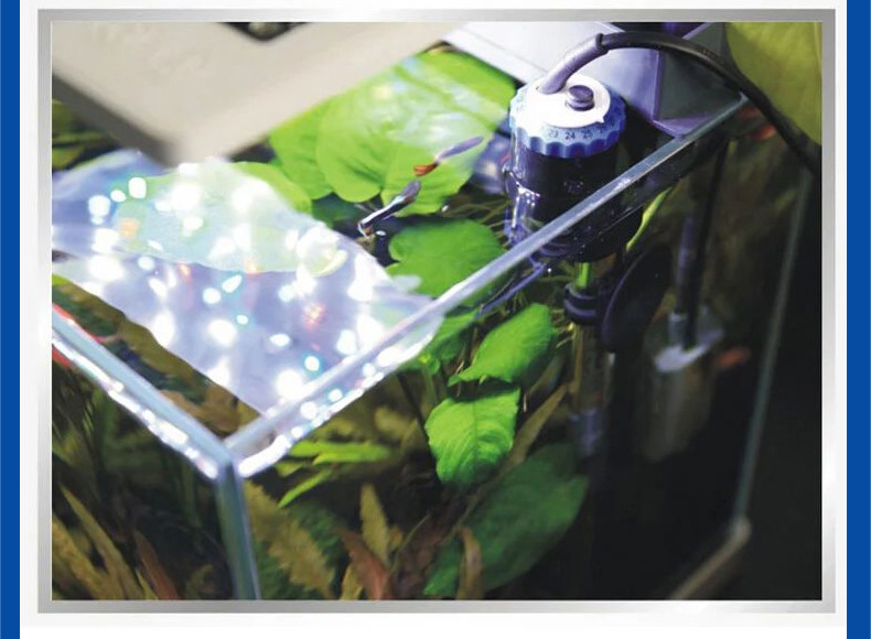 Аквариум и типы нагревателей