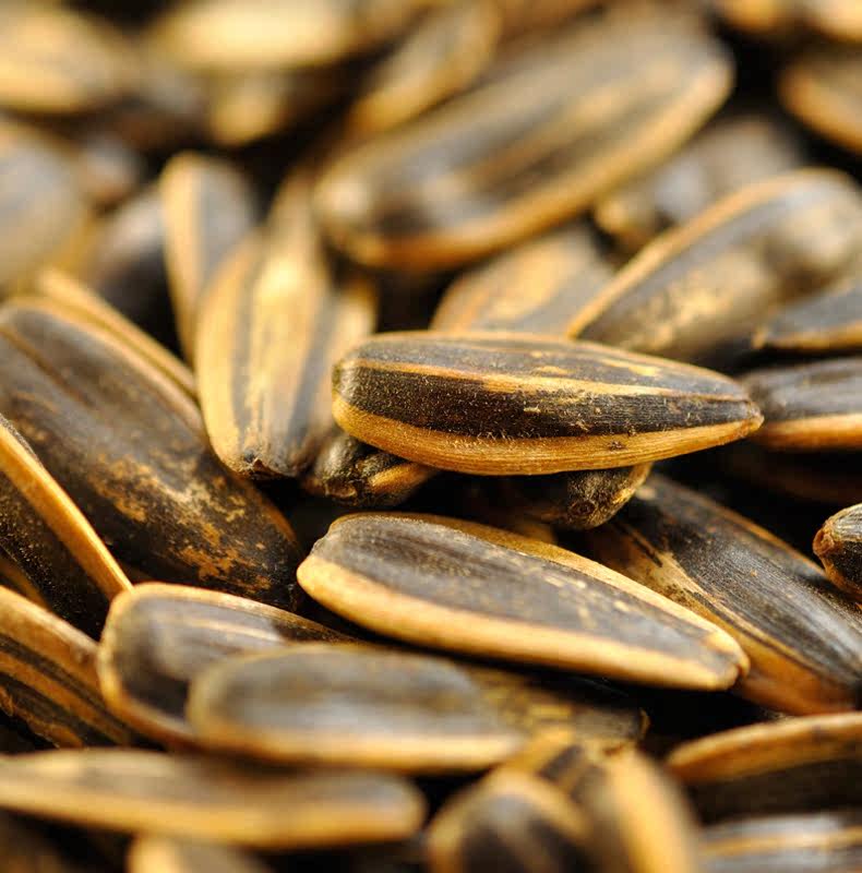 闻食斋现炒焦糖瓜子/山核桃味瓜籽年货坚果炒货独立包装250g*2