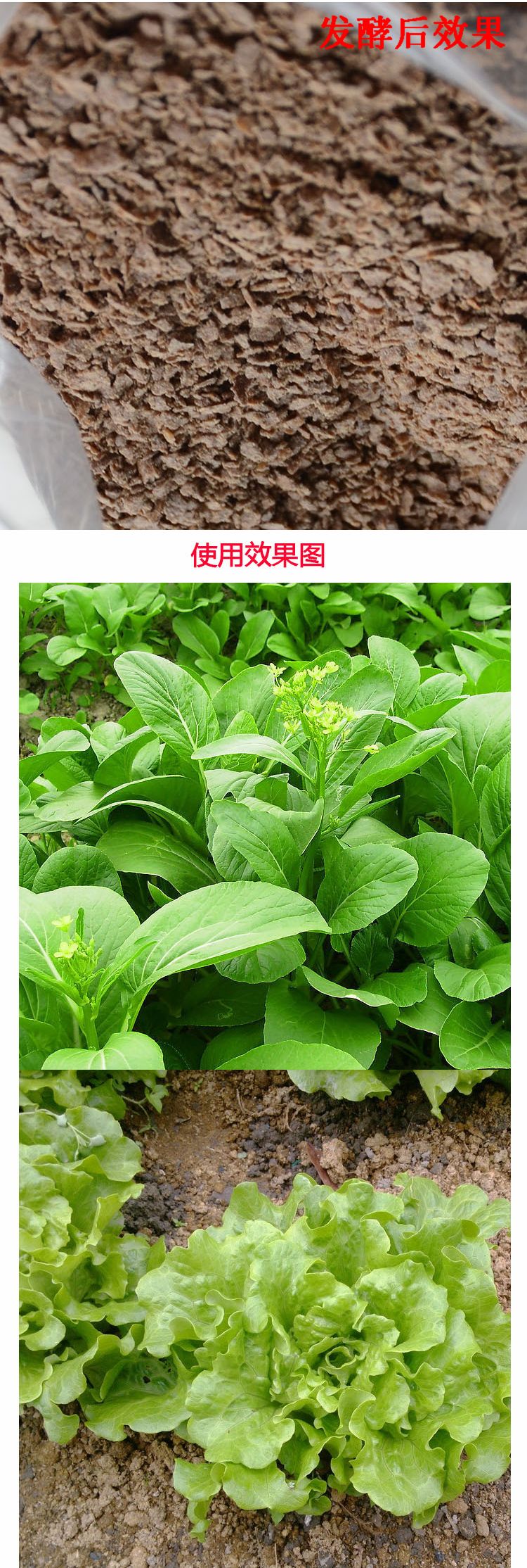 豆饼饼纯菜籽渣花卉豆粕花生饼不能钓鱼窝料有机肥料花肥芝麻带鱼能种花放蚝油图片