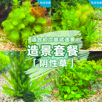 Fish tank aquarium aquarium water grass package ecological fish tank landscaping decoration package real water grass landscape grass tank landscape