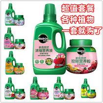 Mele Tree Nutrient Solution Slow Release Fertilizer Fertilizer Multimeat Granular Orchid Adoptive Plant Universal Compound Fertilizer Controlled Release Fertilizer