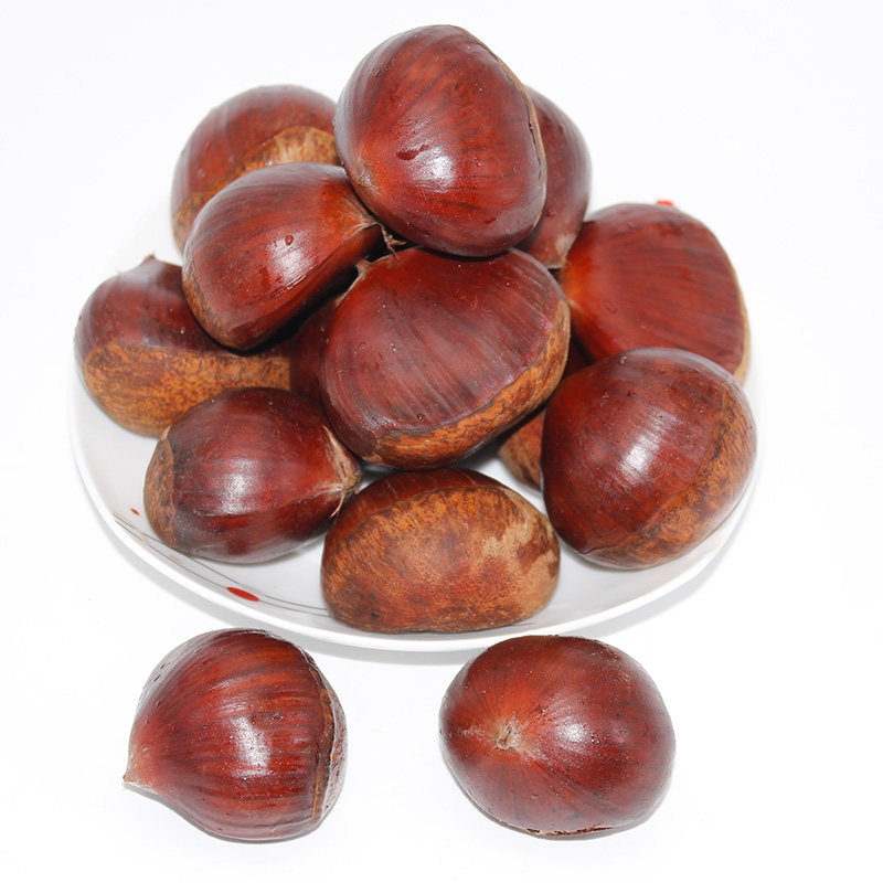 今年现货 沂蒙深山老树新鲜生大板栗 油栗子大个毛栗子特产
