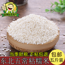 2021 Northeast glutinous rice 5kg bulk farm self-produced Jiang rice round glutinous rice dumplings raw material zongzi rice sticky rice