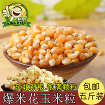 Burst corn 5kg popcorn professional corn grain dish-shaped popcorn small corn kernels homemade raw materials for household