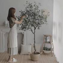 Simulation plant green pot plant plant plant plant plant plant plant in the home room of the floor decoration decoration and beautification of false tree simulation tree soft