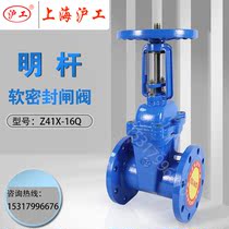 Shanghai Hugong Valve Z41X-16Q ductile iron soft seal elastic seat seal bright bar flange gate valve DN100