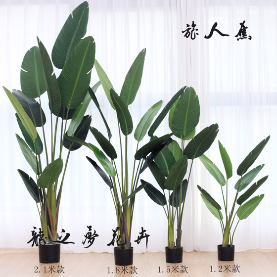 Nordic new simulation banana tree banana bird of paradise tree turtle back piano leaf banyan tropical floor broad-leaved green plant potted Nordic new simulation banana tree banana bird of paradise tree turtle back piano leaf banyan tropical floor broad-leaved green plant potted