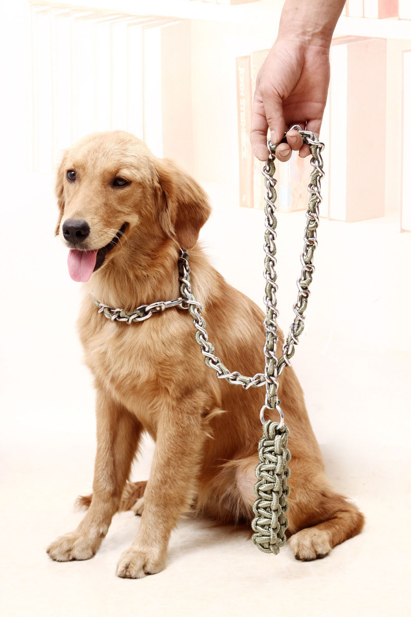 狗狗铁链防咬狗链子牵引绳金毛哈士奇阿拉斯加中大型犬狗绳子包邮