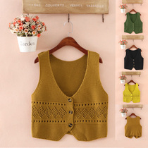 Knitted jacket spring and autumn short sweater cardigan female outer wear sleeveless ladies vest wool vest female autumn and winter outer wear