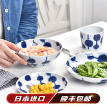 Japan imports DANGO ceramic tableware kit bowl household Bozo sees the Nordic tableware dish set