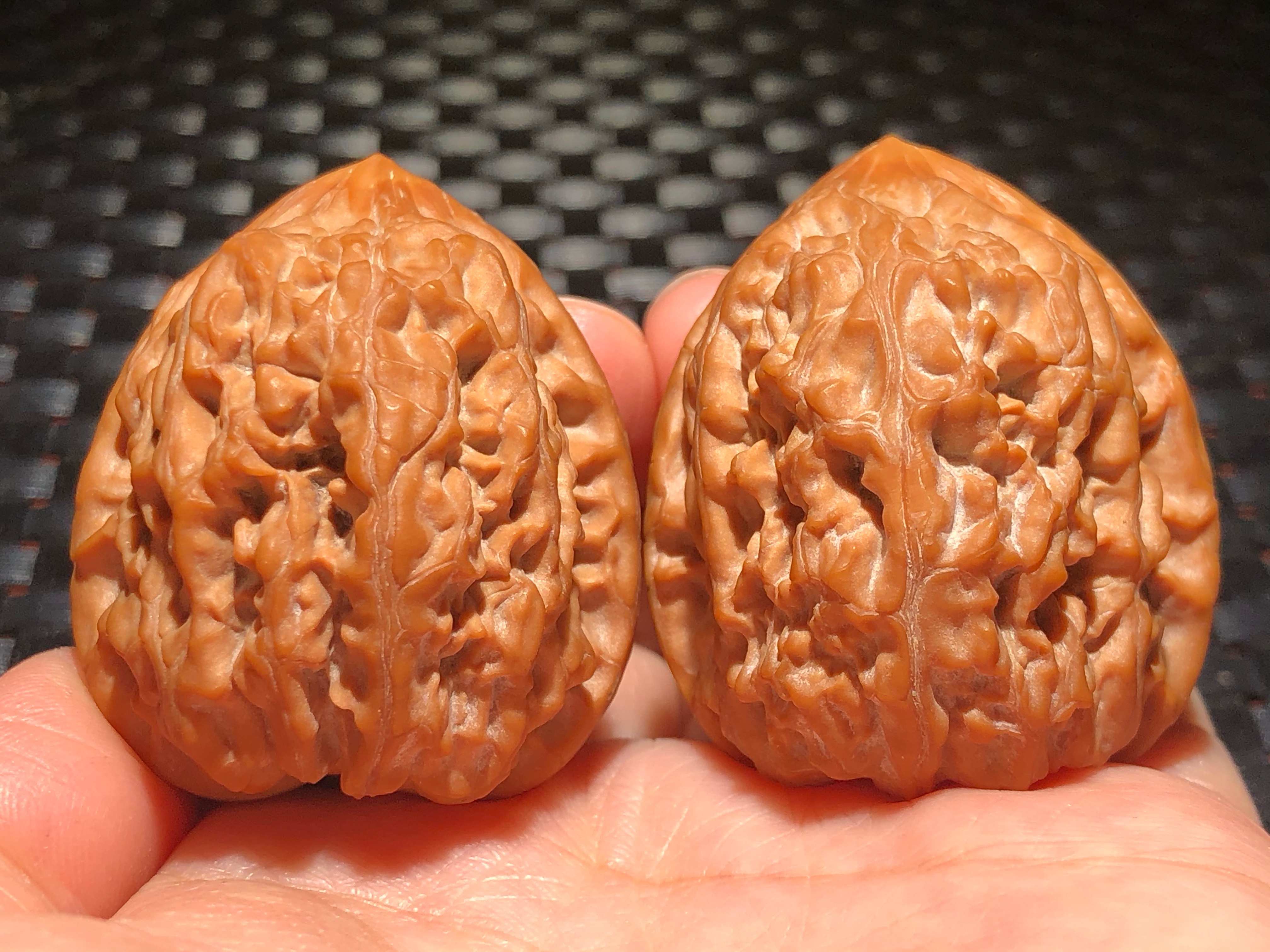 核核美美文玩核桃36.0纯野生小众至尊宝狮子头精品收藏级a591