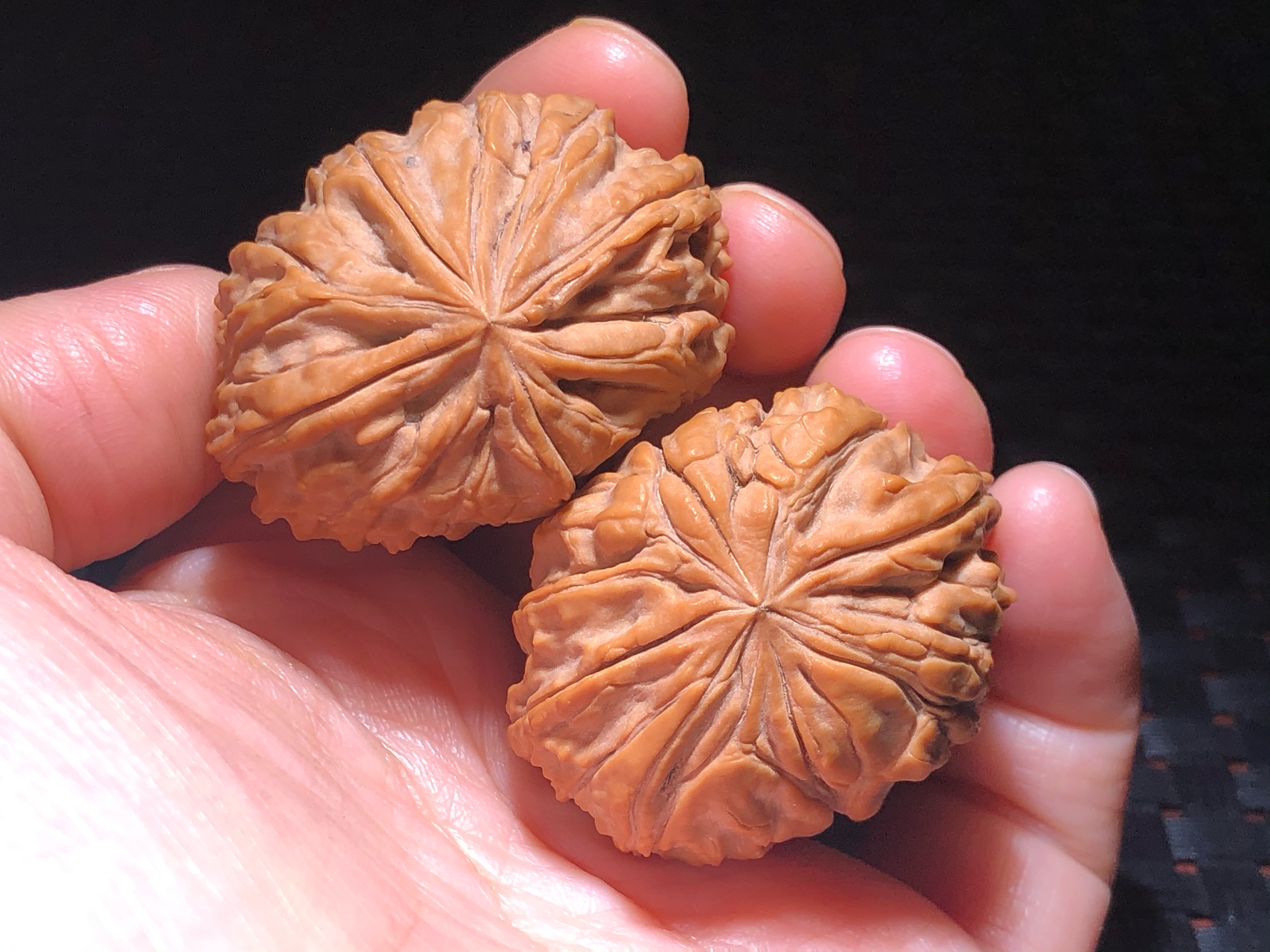 核核美美文玩核桃精品收藏级野生小众狮子头原树a555