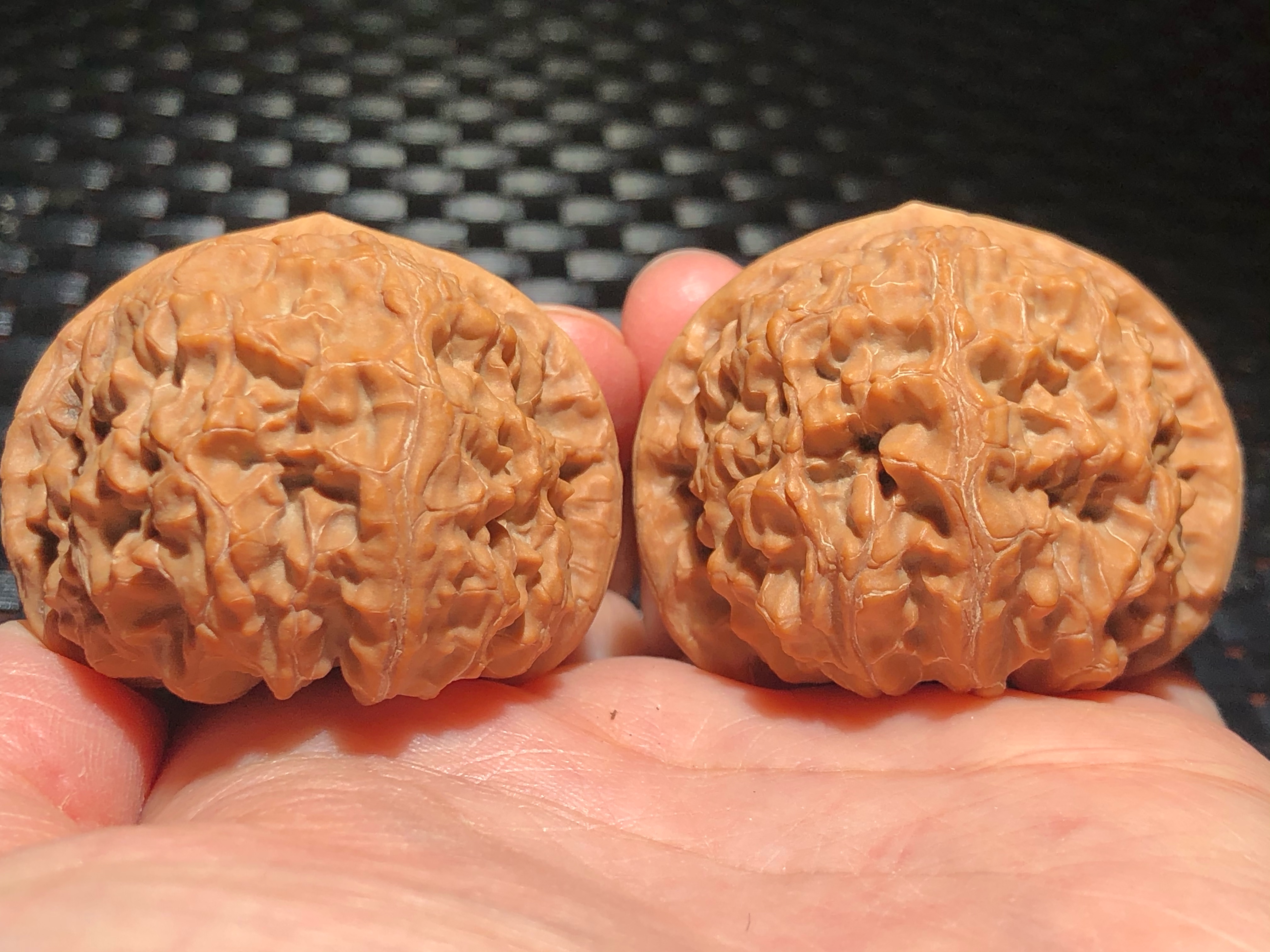 核核美美文玩核桃野生小众蓟县老树元宝狮子头精品收藏级a578