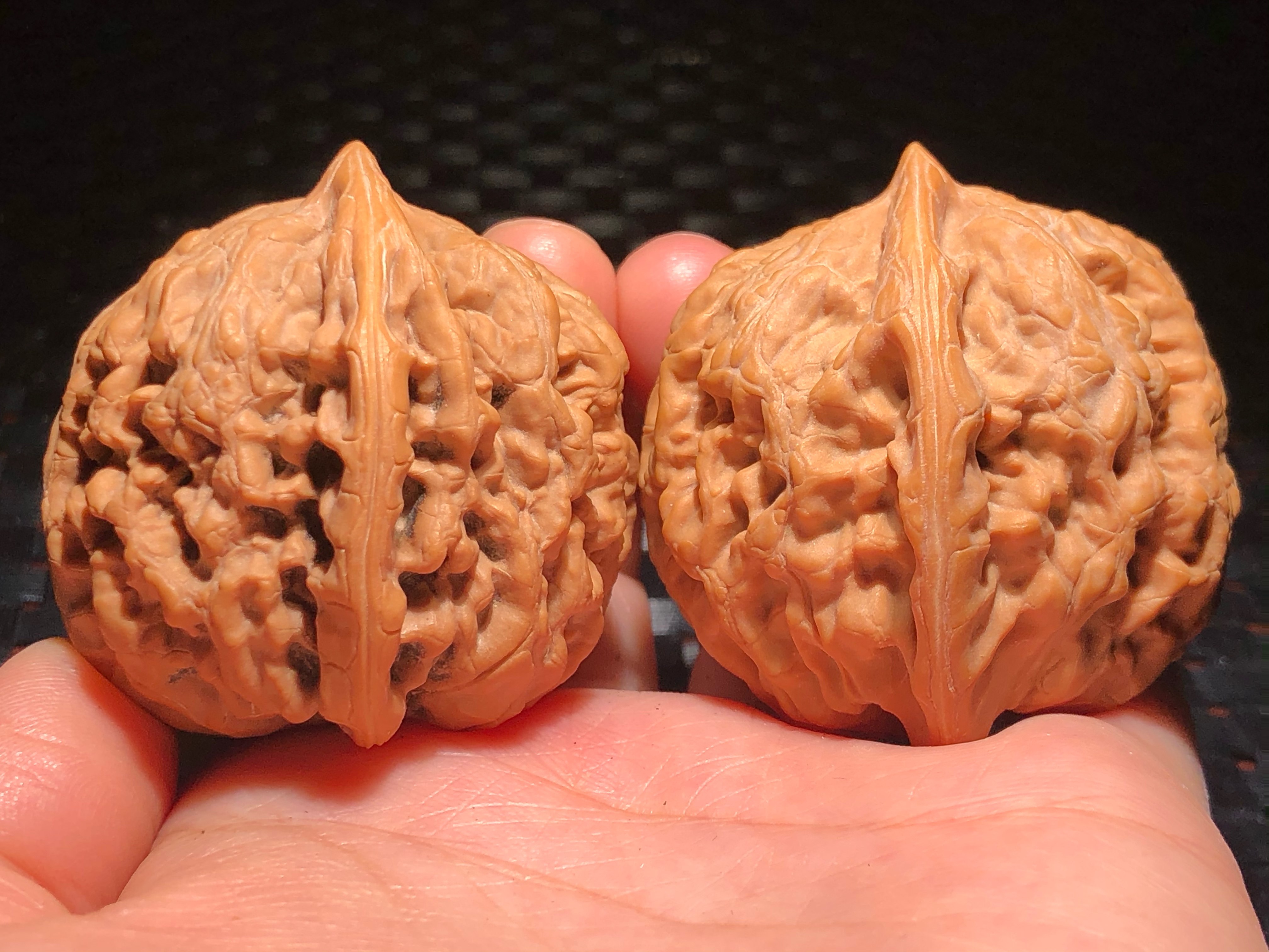 核核美美文玩核桃40.8纯野生小众凤凰台狮子头精品收藏级a612