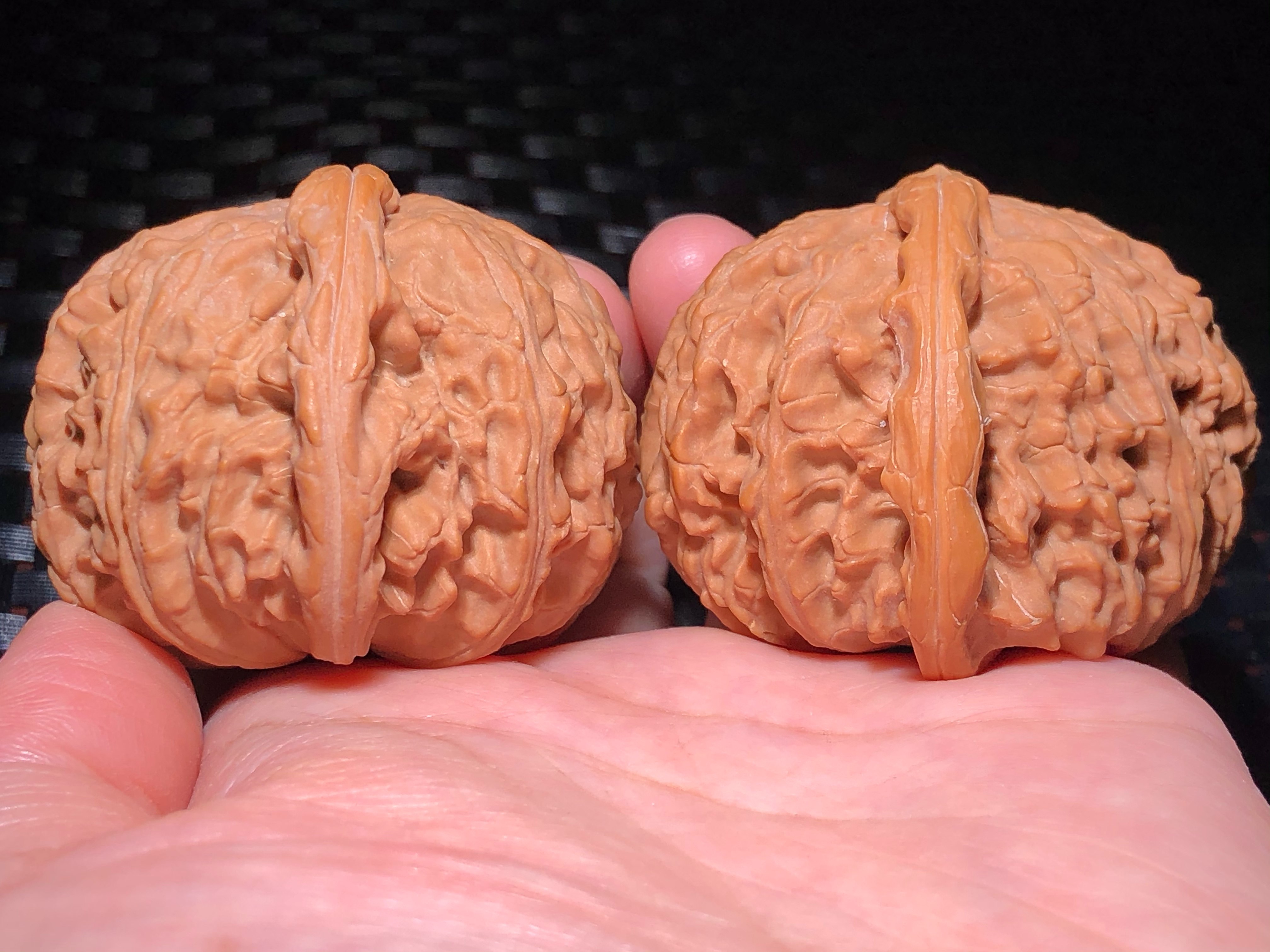 核核美美文玩核桃48.0正宗王三闷尖白狮子头精品收藏级a454