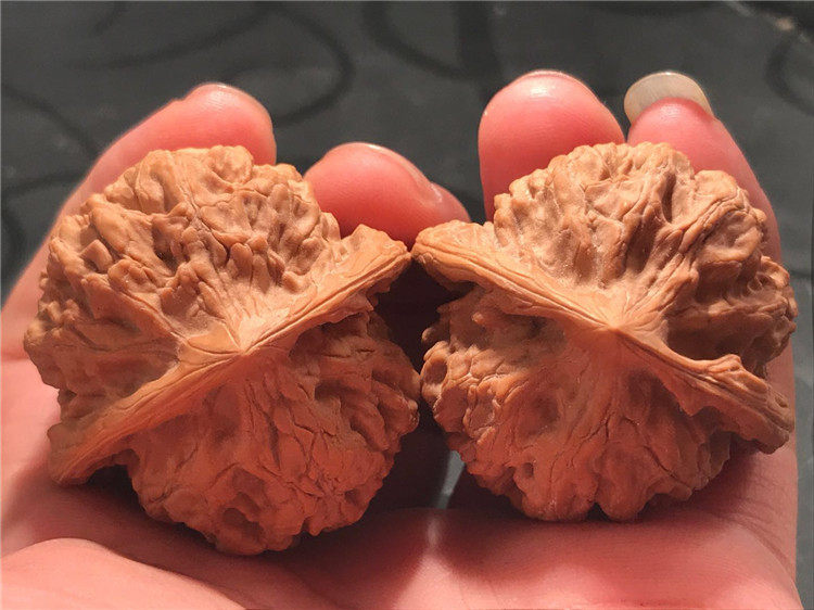 核核美美王鹏—43.0mm纯野生寿桃狮子头—a312