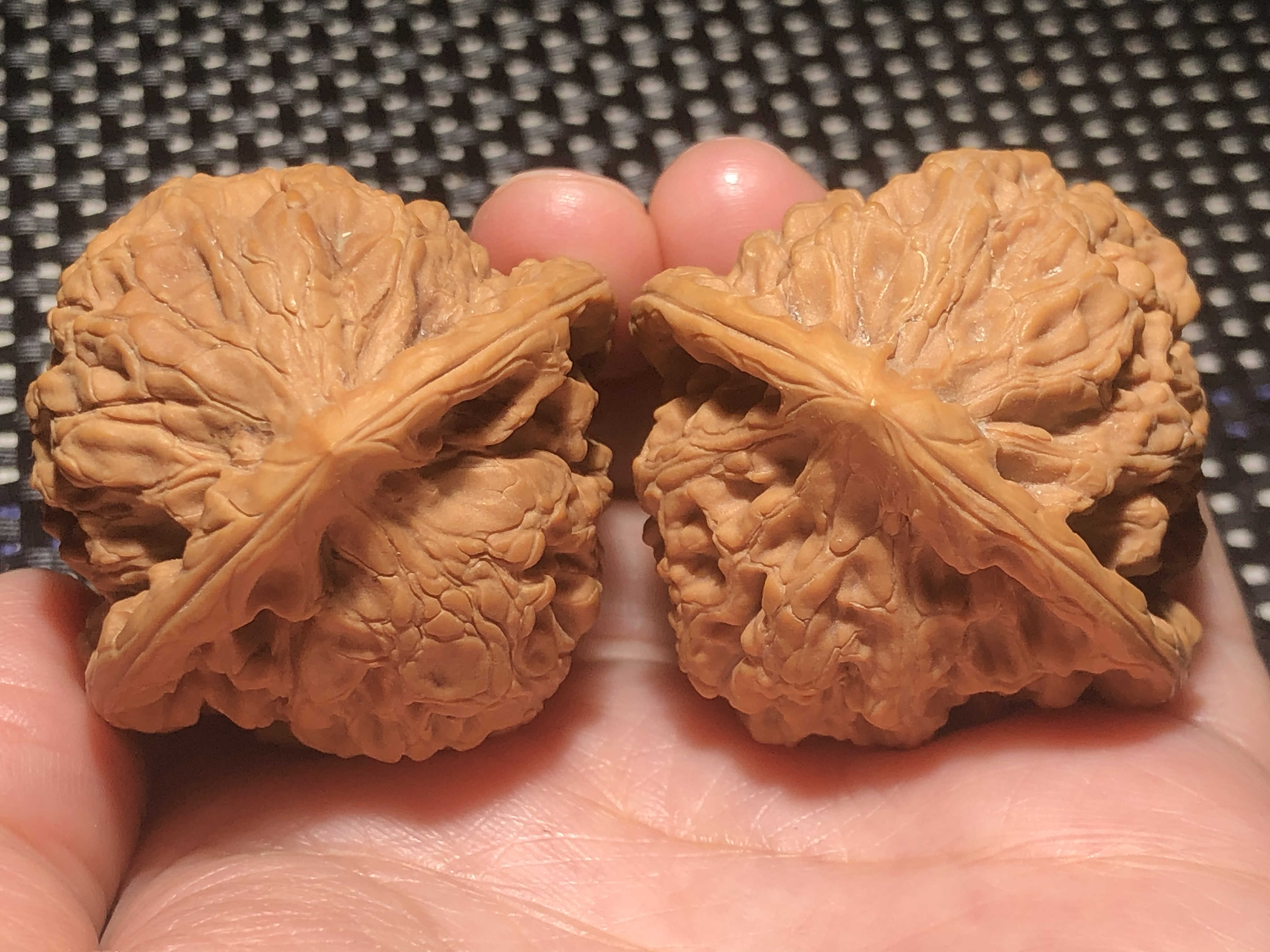 核核美美文玩核桃41野生小众老树玄武狮子头精品收藏级a551