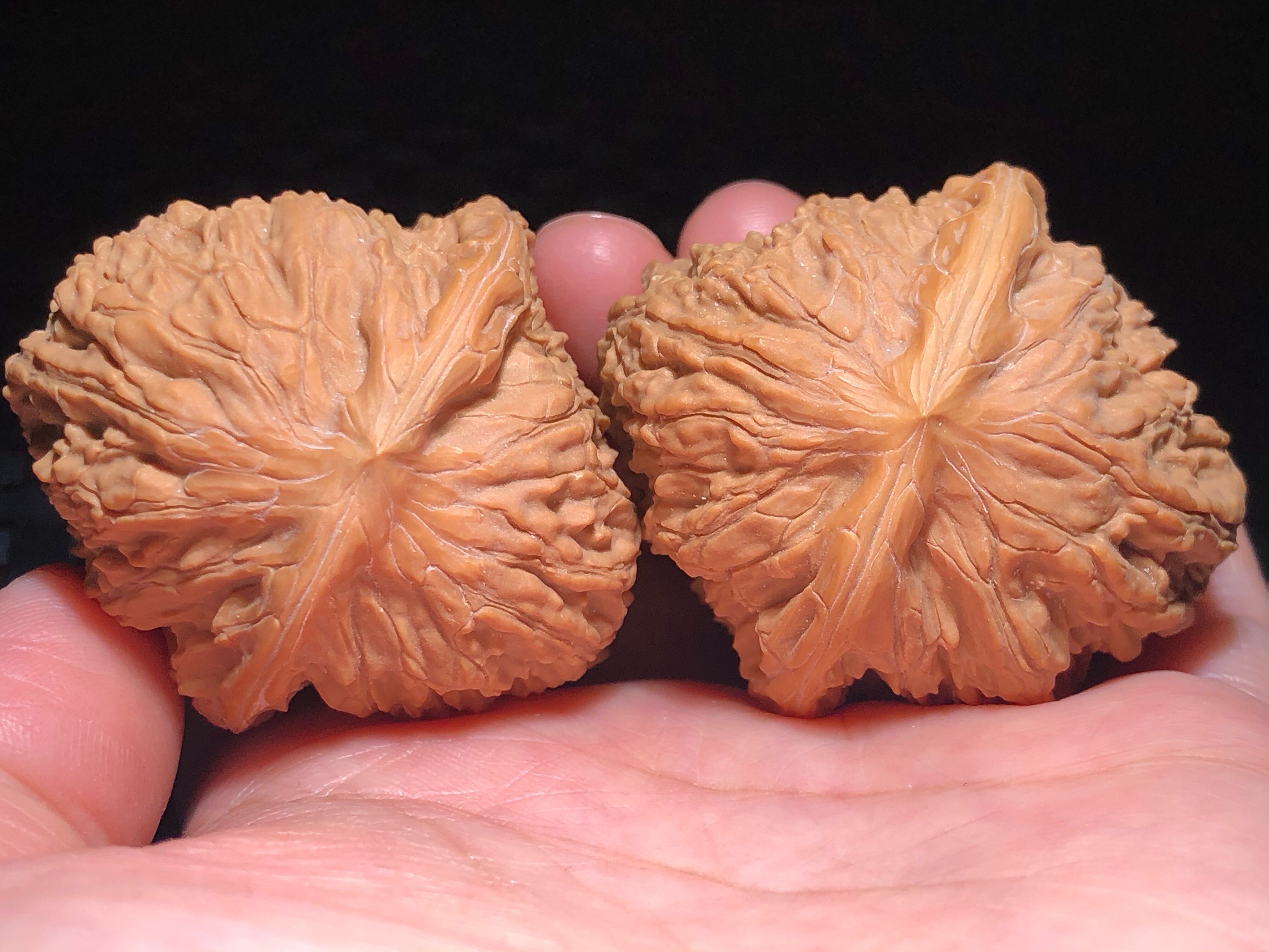 核核美美文玩核桃野生小众宽城高欢八方狮子头精品收藏级a475