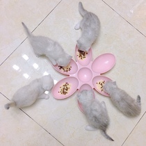 Super cute cat dog pet dinner plate cat Petal bowl cute multi cat family cat house milk cat dinner bowl