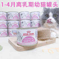 French Royal kitten milk cake staple food mousse fattening grain-free pregnancy pet snacks wet grain 195g * 12