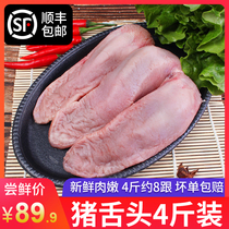 Pig tongue root-free mouth Frozen fresh pig tongue multi-provincial new product promotion