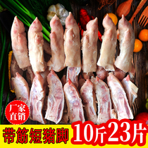 Fresh frozen trotters with tendons pig feet pig claws pig hands short trotters 10 pounds of stewed vegetables fresh ingredients commercial whole box