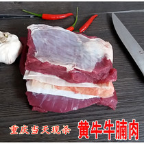 Raw beef Fresh beef Fresh free-range scalper meat Freshly killed Brisket Beef tendon Beef Beef Hind leg BEEF Beef Tenderloin