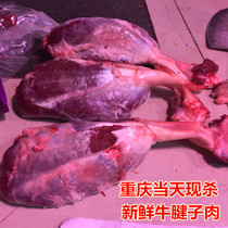 Tendon meat 500g Chongqing day freshly killed fresh beef tendon meat raw beef Farm free-range fresh beef brisket