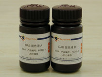 DAB horseradish peroxidase color kit P0203 Biyuntian Beyotime