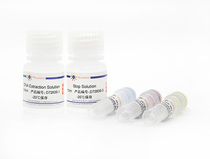 Rat tail genotype rapid identification kit D7283S Biyuntian biological Beyotime