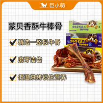 Giant small Mengbei cattle bar bone dog molar snacks bovine bone Golden Hairy Tooth bone cleaning medium large dog Labrador E