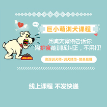 Giant little cute pet training dog training course dog training course dog training tutorial dog care food care grab training