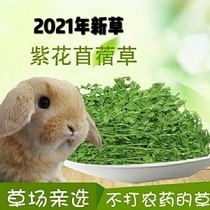 Purple Flower Clover Grass Rabbit Dry Grass Pet Rabbit Grain Dragon Cat Dutch Pig Guinea Pigs Nutrition Pasture Staple Grain National