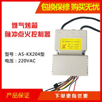 Henglian Red Ling Southern Kitchen Baohong Lijia Gas Oven Igniter Pulse Universal Gas Oven Accessories