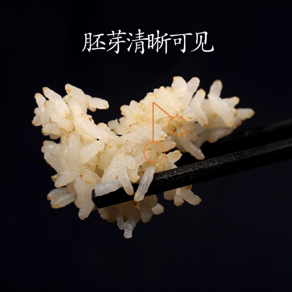 米粒芳辅食五常稻花香大米胚芽米500g1斤试吃装宝宝婴儿熬粥糙米